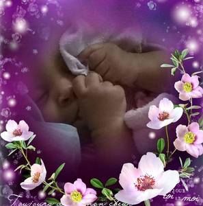 Meet your Posher, Peggy d.